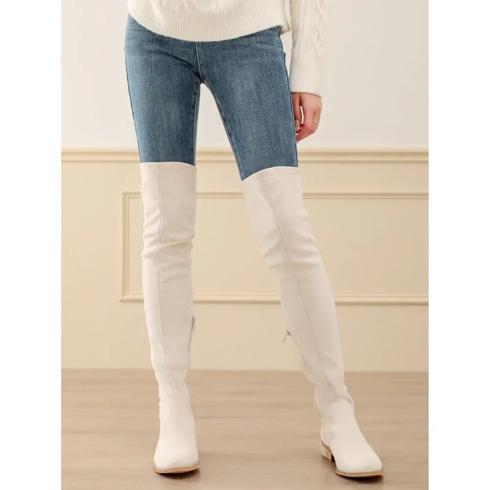 Women Beige Faux Suede Over The Knee Thigh High Low Block Heel Pointed Toe Boot
